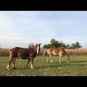 Meet your Posher, Christina